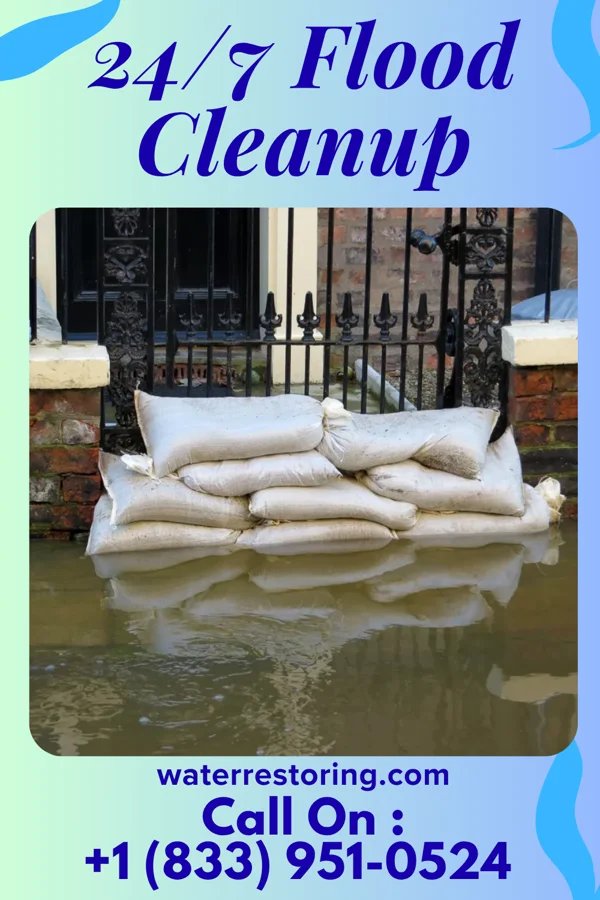 24/7 Flood Cleanup in Mason Neck, VA