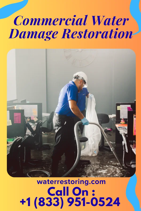 Commercial Water Damage Restoration in Mason Neck, VA