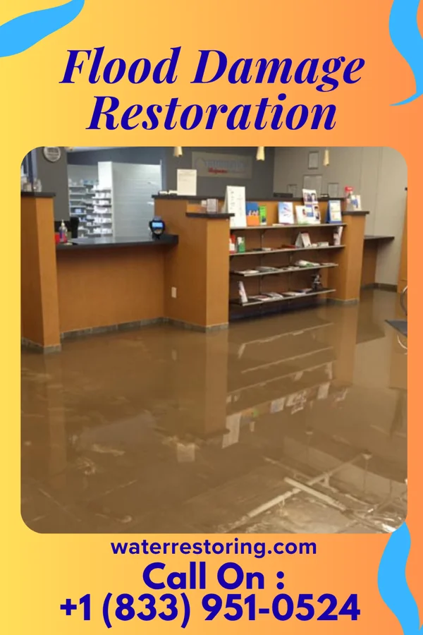 Flood Damage Restoration in Mason Neck, VA