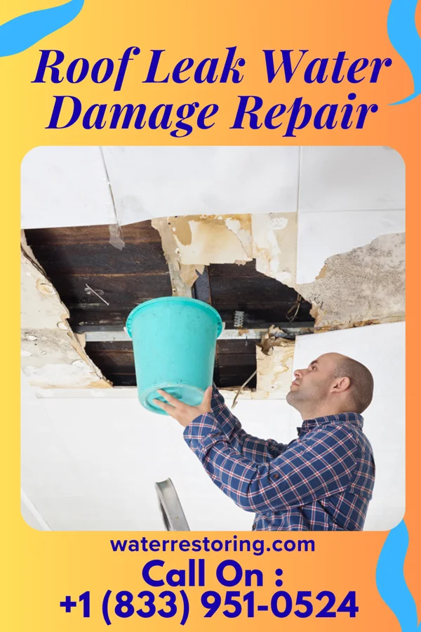Roof Leak Water Damage Repair in Mason Neck, VA