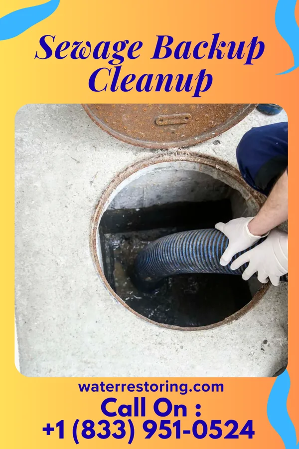 Sewage Backup Cleanup in Mason Neck, VA