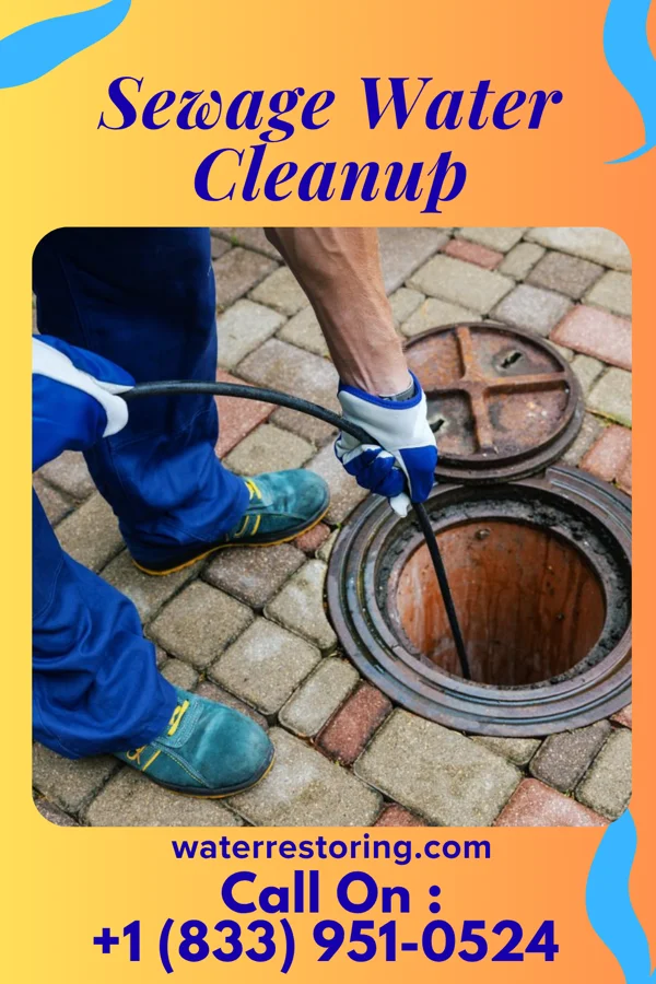 Sewage Water Cleanup in Mason Neck, VA
