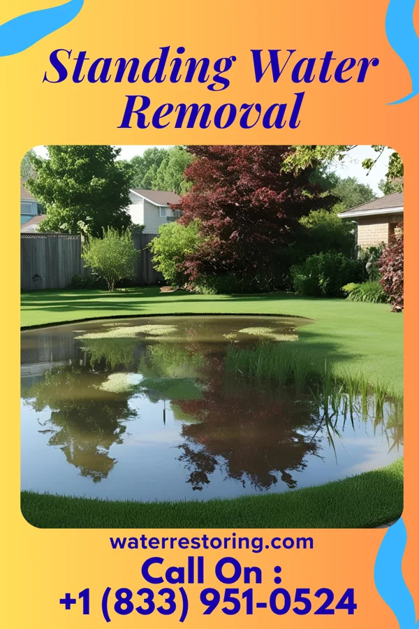 Standing Water Removal in Mason Neck, VA